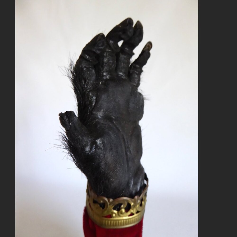 16” REAL TAXIDERMY “CURSED” MONKEY PAW HAND IN GLASS DOME DISPLAY BASE ODDITY - Picture 14 of 15